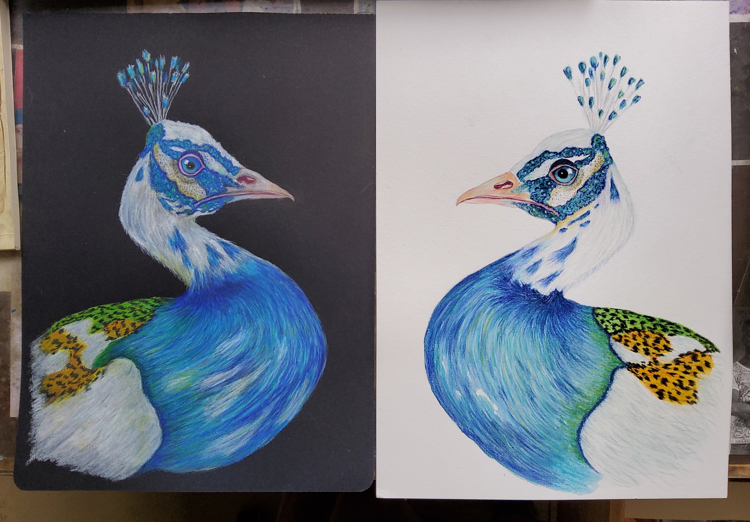 Отражения: павлин