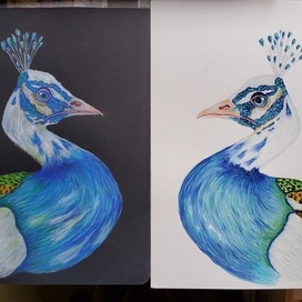 Отражения: павлин