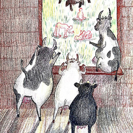 "Коровы и люди"