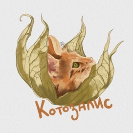 Иллюстрация из серии Котоцветы. Котозалис
