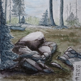 Ночь на опушке