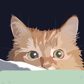 Кошки- мышки 