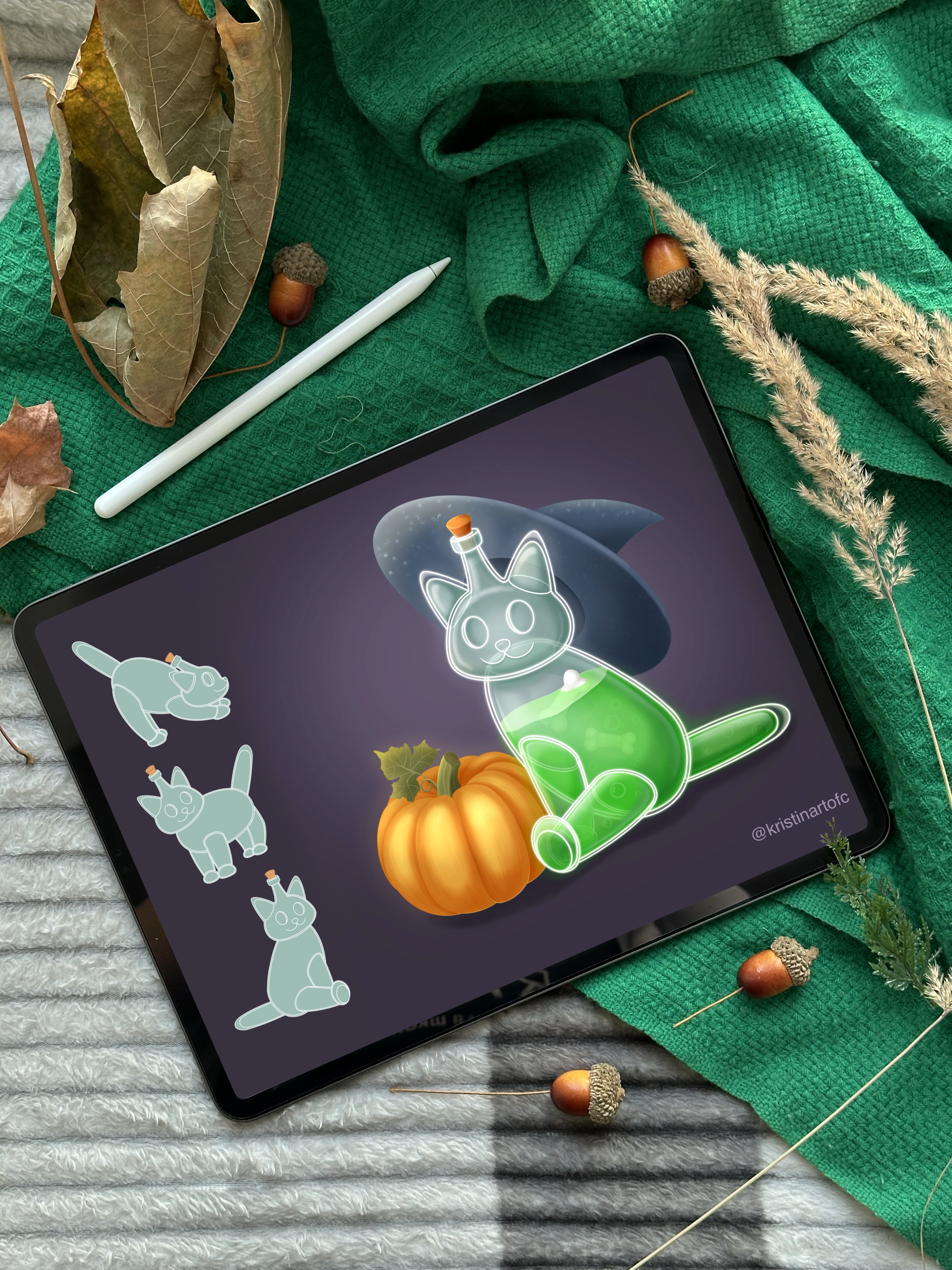 Кот Колба «Мо»