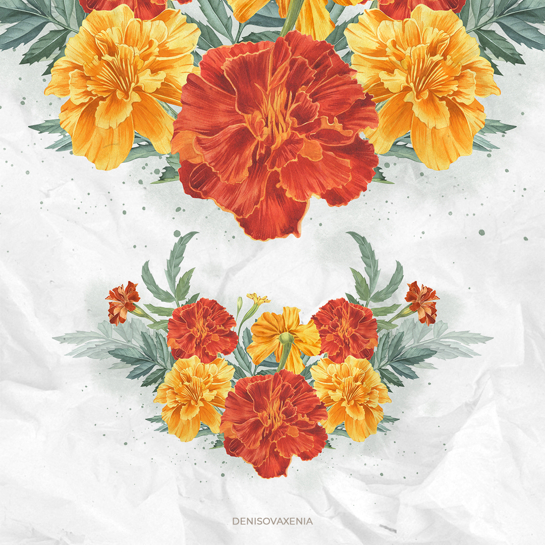 Бархатцы. Желтые и красные бутоны бархатцев. Акварельная иллюстрация.