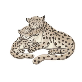 Ирбис или снежный барс. Иллюстрация для фонда дикой природы