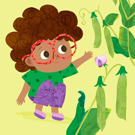 книжка картинка