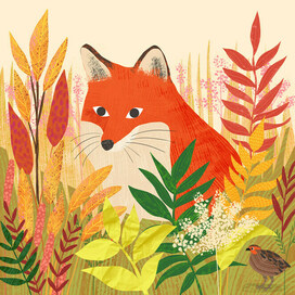 обложка для книги лиса