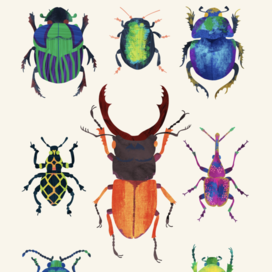 книга о природе