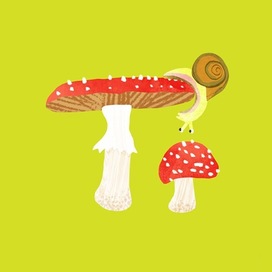 грибы, детская книга