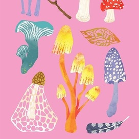 грибы, книга о природе, детская книга, нон-фикшен