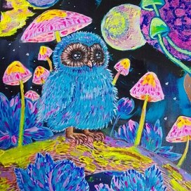 Совенок и псилоцибиновые грибы