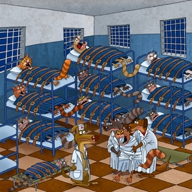 Кошачья психушка