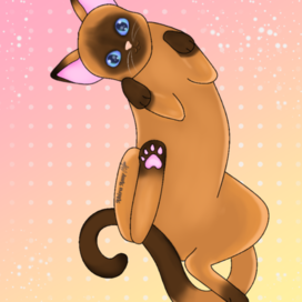 Сиамский котик 🐱🧶