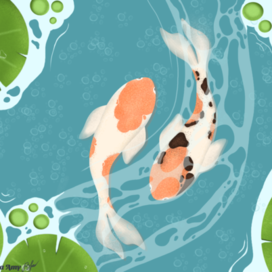 Koi carps that symbolize yin-yang☯️