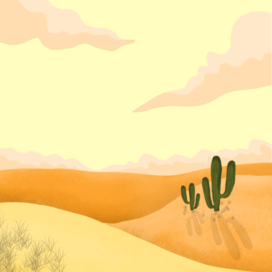Sands and cactus🏜️