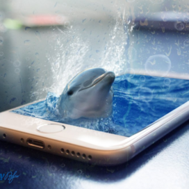 3D effect - dolphin🫧🐬