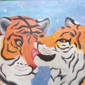 Tigers in love❤️🐯🐯❤️