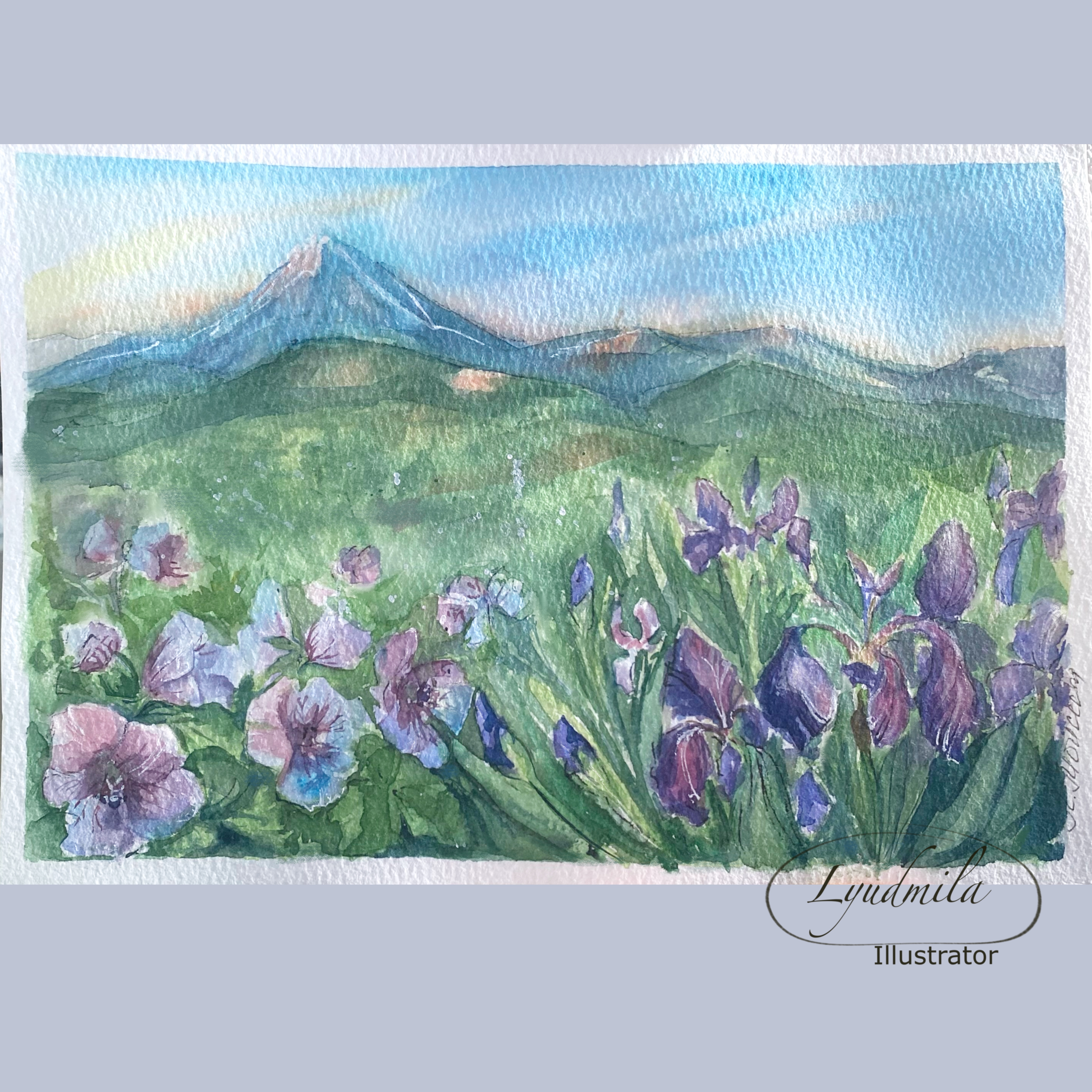 Камчатка, цветочная поляна