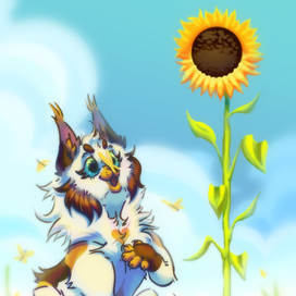 Кошка и подсолнух