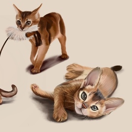 Иллюстрация Котики