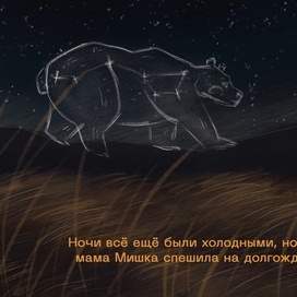 Большая медведица 