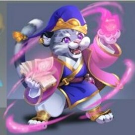 Барс волшебник