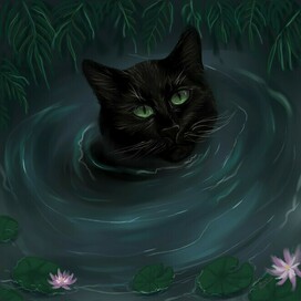 Черный кот в воде