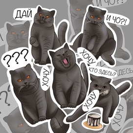 Котостикеры