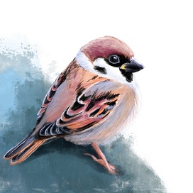 Полевой воробей