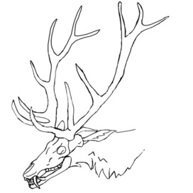 Эскиз Вендиго