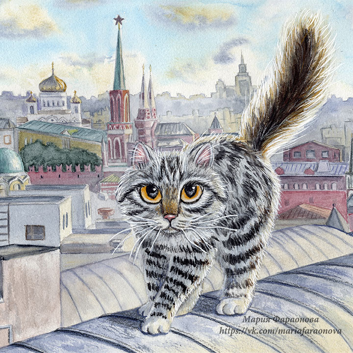Кот и московские крыши