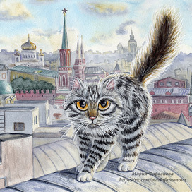 Кот и московские крыши