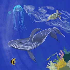 Подводный мир