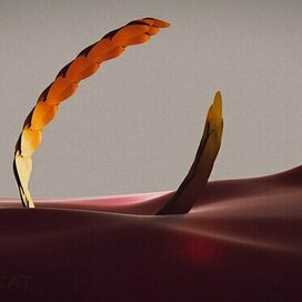 Император мёртв