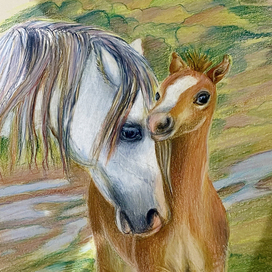 Рисунок Лошадь с жерёбенком
