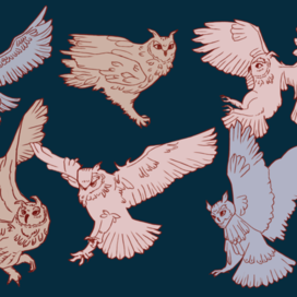 Совы скетчинг 