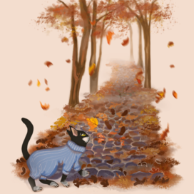 Кот и осенняя тропинка