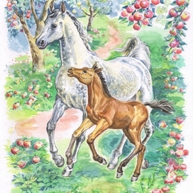  Иллюстрация  к книге для детей для проекта Татьяны Ждановой