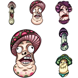 Подборка грибков за осень и зиму 2024