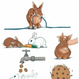 Персонаж для сайта