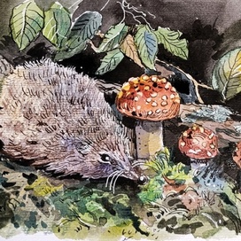 Ёжик в лесу