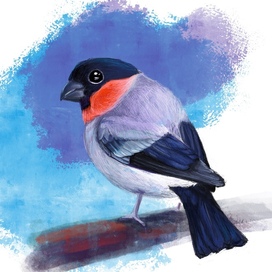 Обыкновенный снегирь