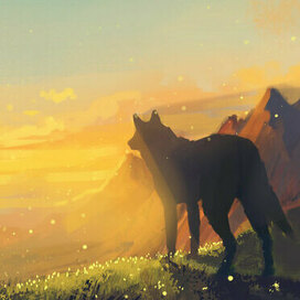 | волк | скетч |