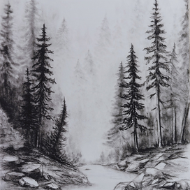 Лесная река