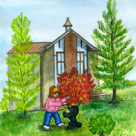 Иллюстрация к книге Н.Трофимова