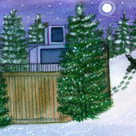 Иллюстрация к книге Н.Трофимова