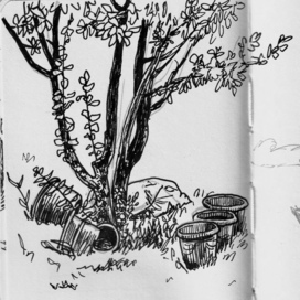 Бардак в саду