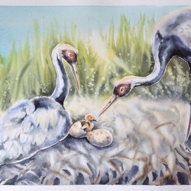 Чудо рождения и радость бытия... 