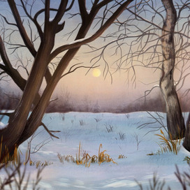 Зимнее поле