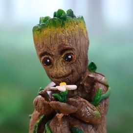 Мы есть Грут